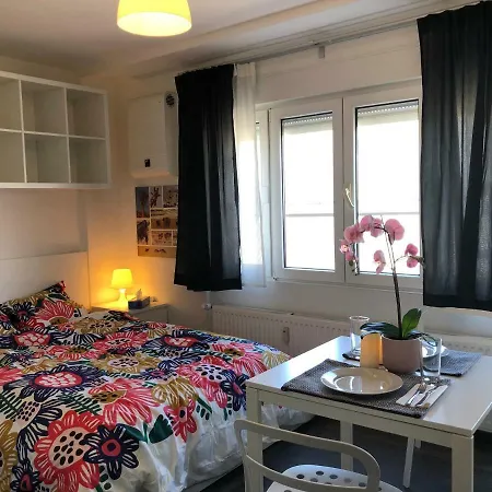 Studio With Rooftop Terrace Luxembourg